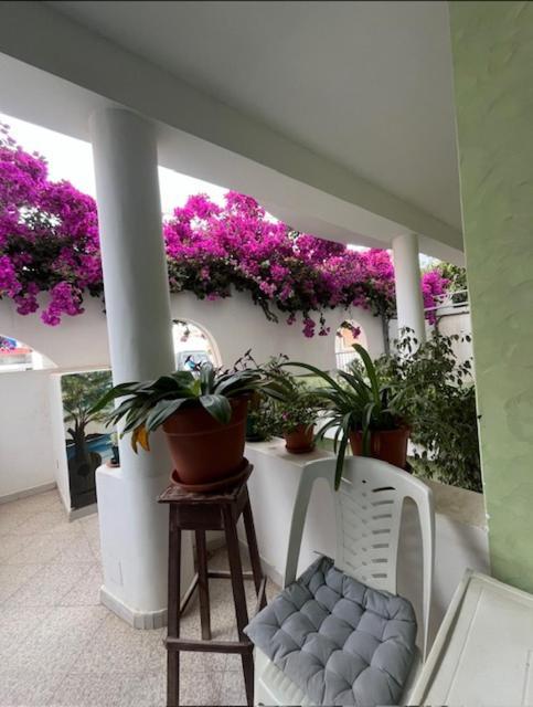 Vivenda Viviani Bed & Breakfast Praia Dış mekan fotoğraf