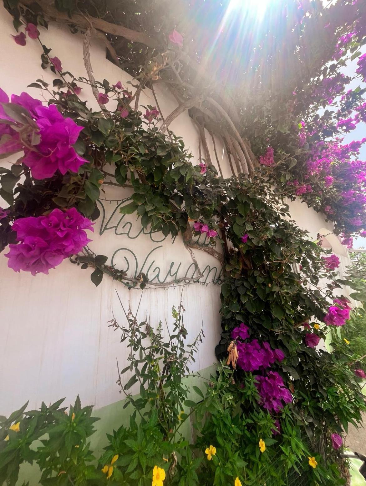 Vivenda Viviani Bed & Breakfast Praia Dış mekan fotoğraf