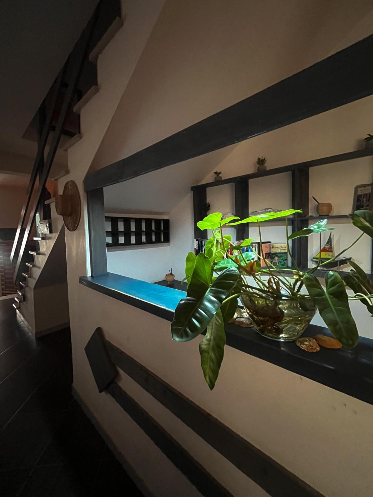 Vivenda Viviani Bed & Breakfast Praia Dış mekan fotoğraf